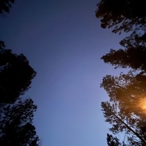 Meet your Posher, Israel